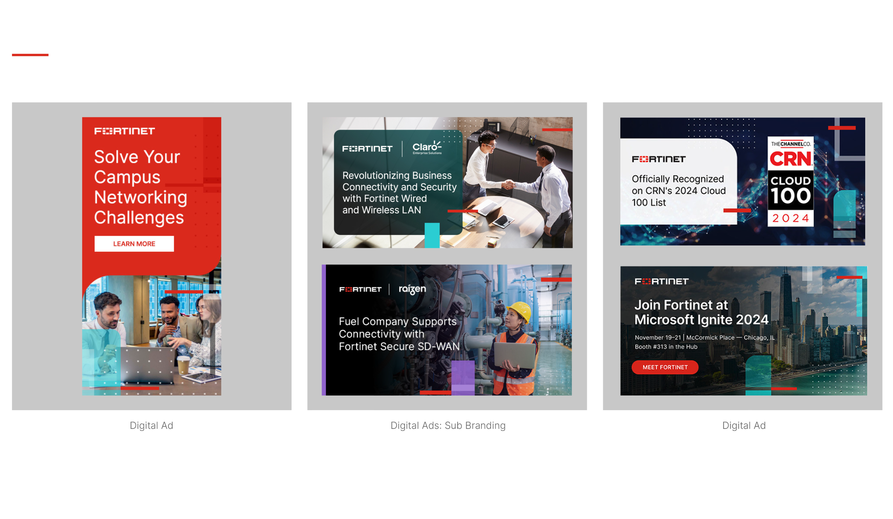Fortinet — Digital Advertising