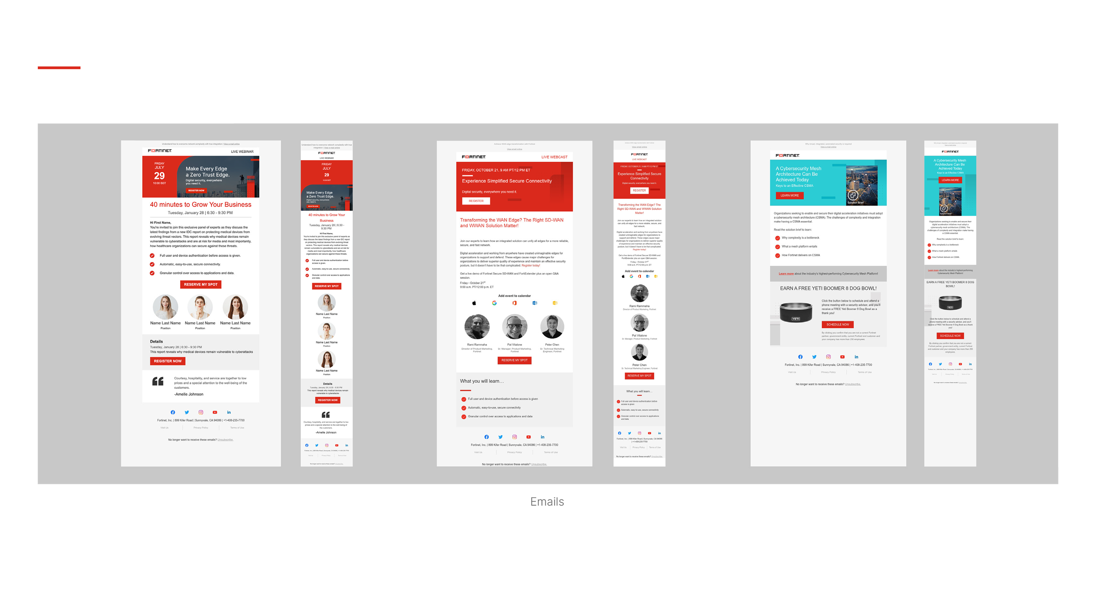 Fortinet — Email Marketing