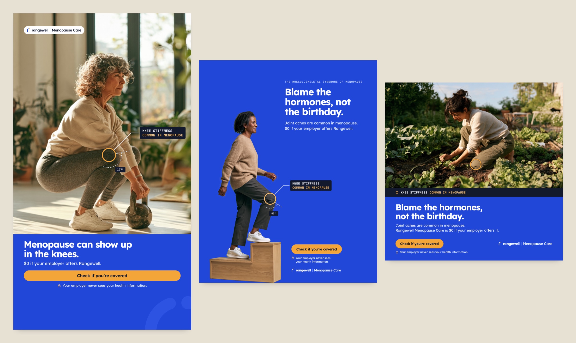 Rangewell — Paid Social